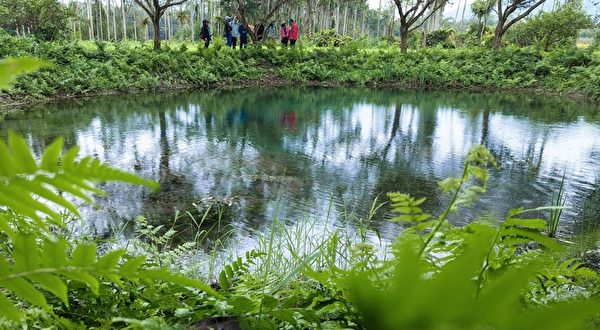 台湾花莲秘境 美丽的拉索埃涌泉生态园区