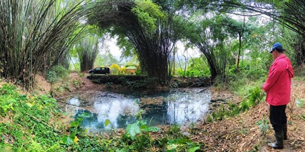 台灣花蓮秘境 美麗的拉索埃湧泉生態園區