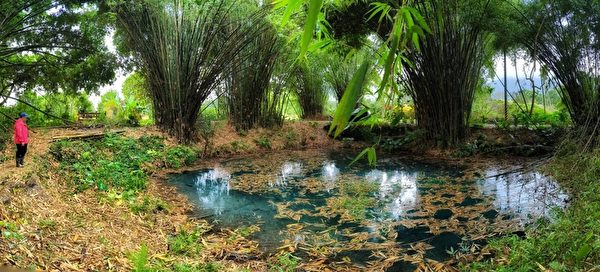 台湾花莲秘境 美丽的拉索埃涌泉生态园区