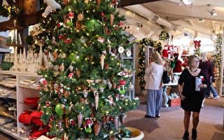 橙縣兩花園節日氣氛濃 業者談如何選購聖誕樹