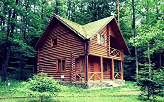 夫妇移居林中小屋 将耕地变为盈利的Airbnb