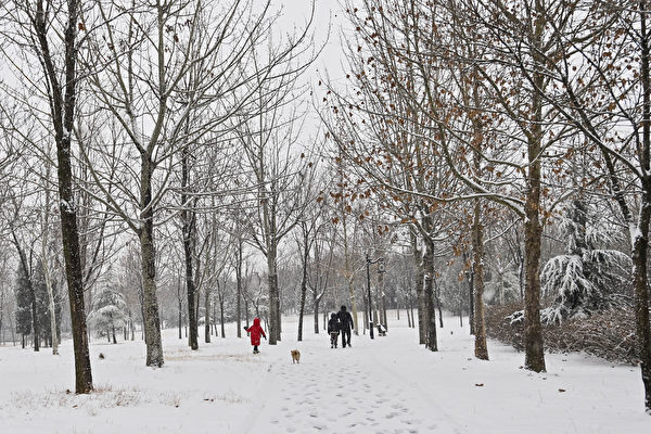 2023年12月11日，山東省降雪。（CFOTO/Future Publishing via Getty Images △）