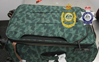 澳警方揭新騙局 旅客被騙做毒騾 帶毒品入境
