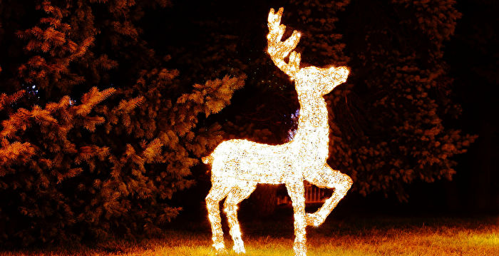 美佛州黑熊偷走民宅的圣诞驯鹿装饰品