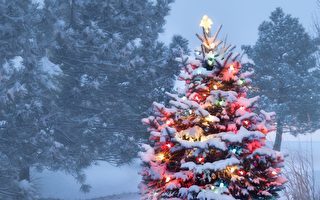 12月天气温暖 多伦多白色圣诞希望渺茫