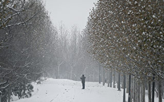 寒流席捲中國 30個氣象站突破歷史極值