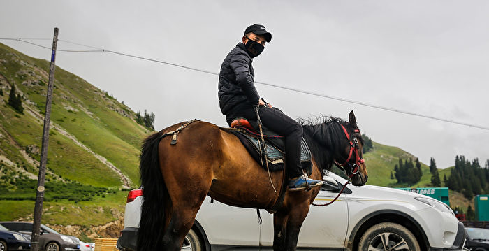 被邀“免费游中国” 香港网红留言:找错人了