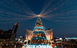 25公尺“星空之树”点灯 迎接浪漫圣诞节