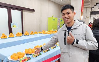 宝山椪柑评鉴 甜橘王由34岁青农彭孟凡拿下