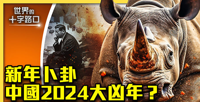 【十字路口】2024大凶年？中国五大灰犀牛狂奔