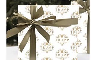 最后一刻节日礼物 美总统候选人会提供什么？