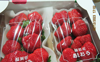 农药残留又超标 日本草莓采逐批查验
