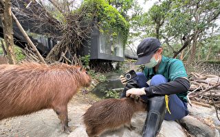 新年賀禮 壽山動物園保育員危險加給調升
