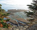 无惧巨浪世界各地的冲浪者涌向Mavericks海滩