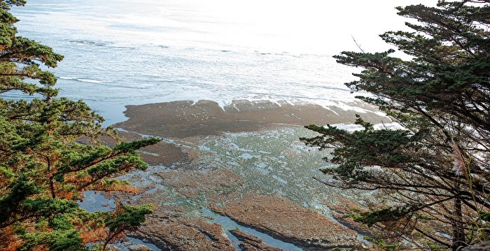 无惧巨浪世界各地的冲浪者涌向Mavericks海滩