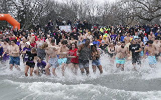 元旦加拿大各地民眾冬泳迎新年