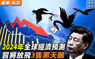 【秦鹏观察】2024经济预测 5大灰犀牛3只黑天鹅