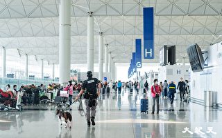 香港機場航空交通量創疫後新高 料年底前返疫前水平