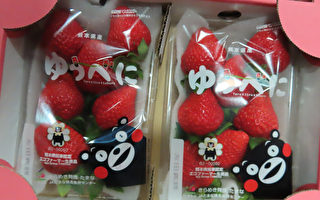 日本草莓农药频超标 5业者暂停输台1个月