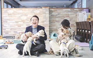 韩国国会通过法案 禁止食用和销售狗肉