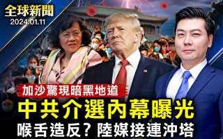 【全球新闻】台湾大选倒计时 留学生曝光中共介选手段