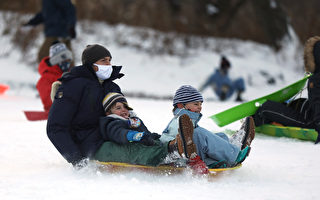 市议员争取多伦多取消45个山丘玩雪橇禁令