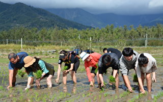 國際青商會中華民國總會 與池上青農共創友善未來