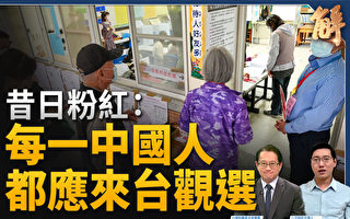 【新闻大破解】昔日粉红：台湾大选是全球榜样