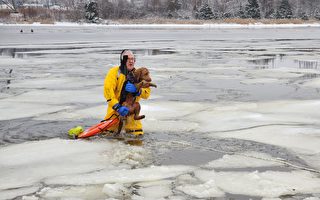 Braintree消防员跳冰河救狗