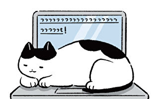 猫行为解读：老爱坐在洗好的衣服或键盘上