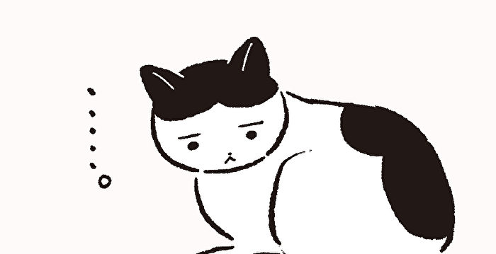 猫行为解读:为何喜欢的逗猫棒不玩了?