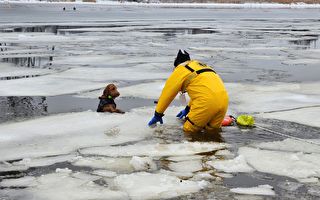 小狗受困結冰河面 美國麻州消防隊員搭救