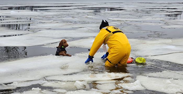 小狗受困结冰河面 美国麻州消防队员搭救