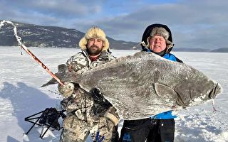魁北克冰钓者捕获109磅大比目鱼