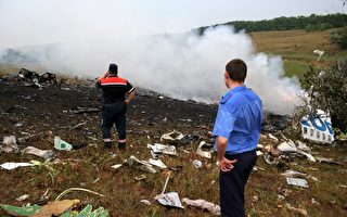 小型飛機在灣區墜毀 飛行員遇難