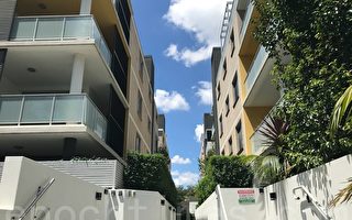 悉尼越來越多的家庭選擇居住公寓房