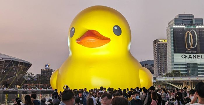 组图：高雄黄色小鸭风潮 吸引逾四百万游客