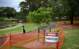 初步調查結束 悉尼75個地點測出石棉污染