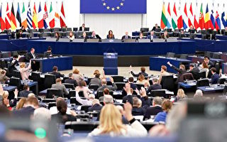 欧洲议会“右转” 有哪些赢家和输家？