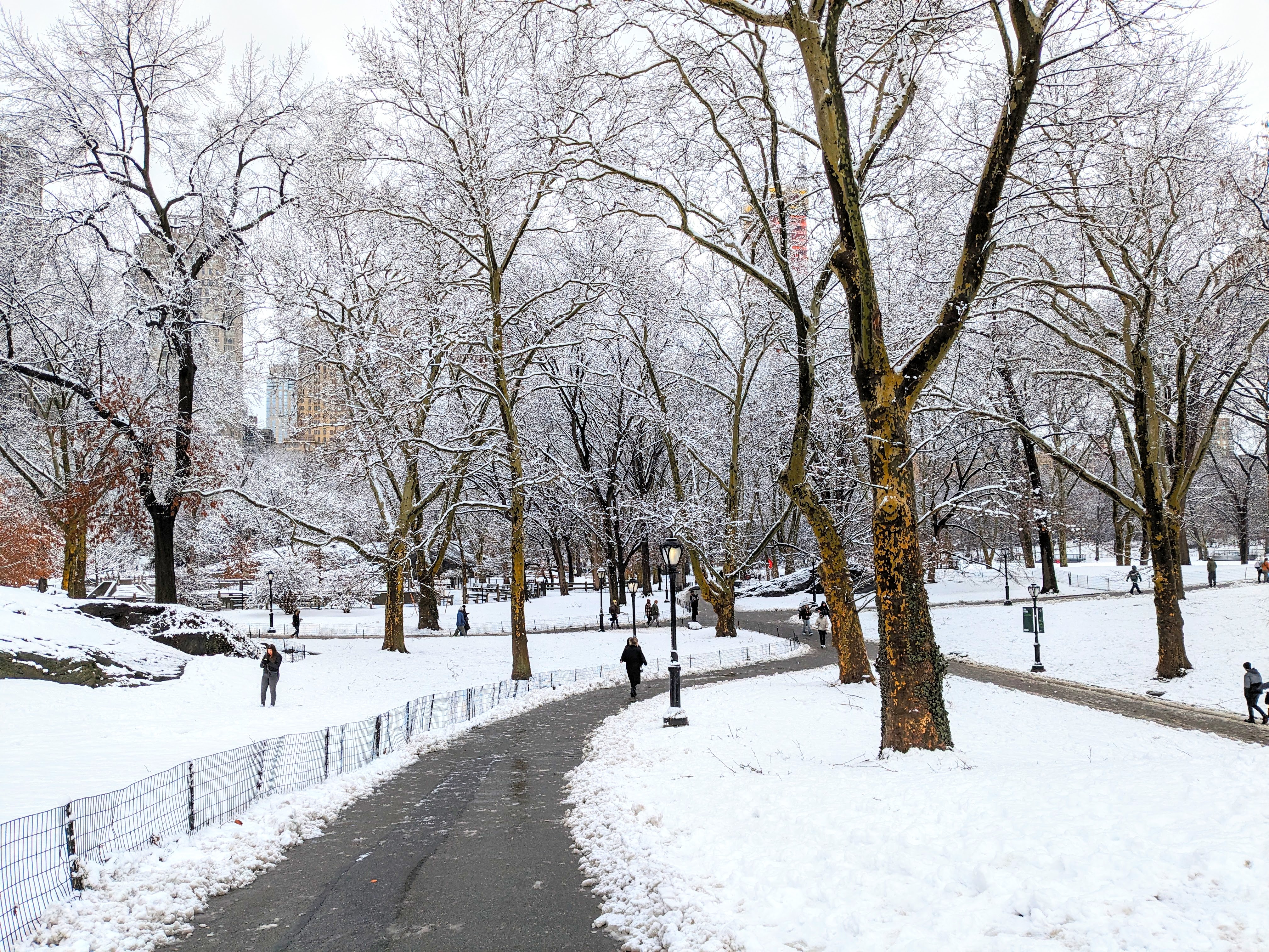 美国今冬天气预测：南部干燥北部寒冷多雪| 冬季展望| 2024-2025 | 大纪元