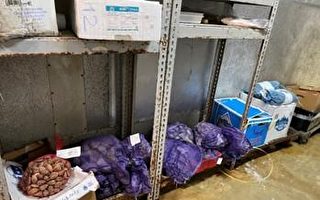 王后區商家非法轉售貝類 120磅貽貝被銷毀
