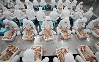 中企海產品涉強迫勞動 美議員促拜登政府制裁