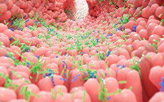 腸道微生物群改變 影響新冠感染嚴重程度及後遺症