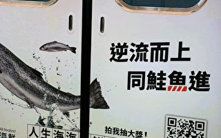 諧音梗出包 中捷「同鮭魚進」廣告惹議