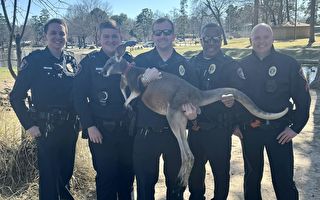 美德州警察追捕逃脫袋鼠 到現場竟開心合照