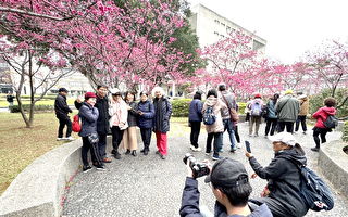 元智摄影社举办樱花人像摄影 民众热情参与