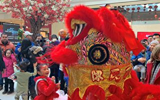 南岸尚普兰商城舞狮活动庆中国新年
