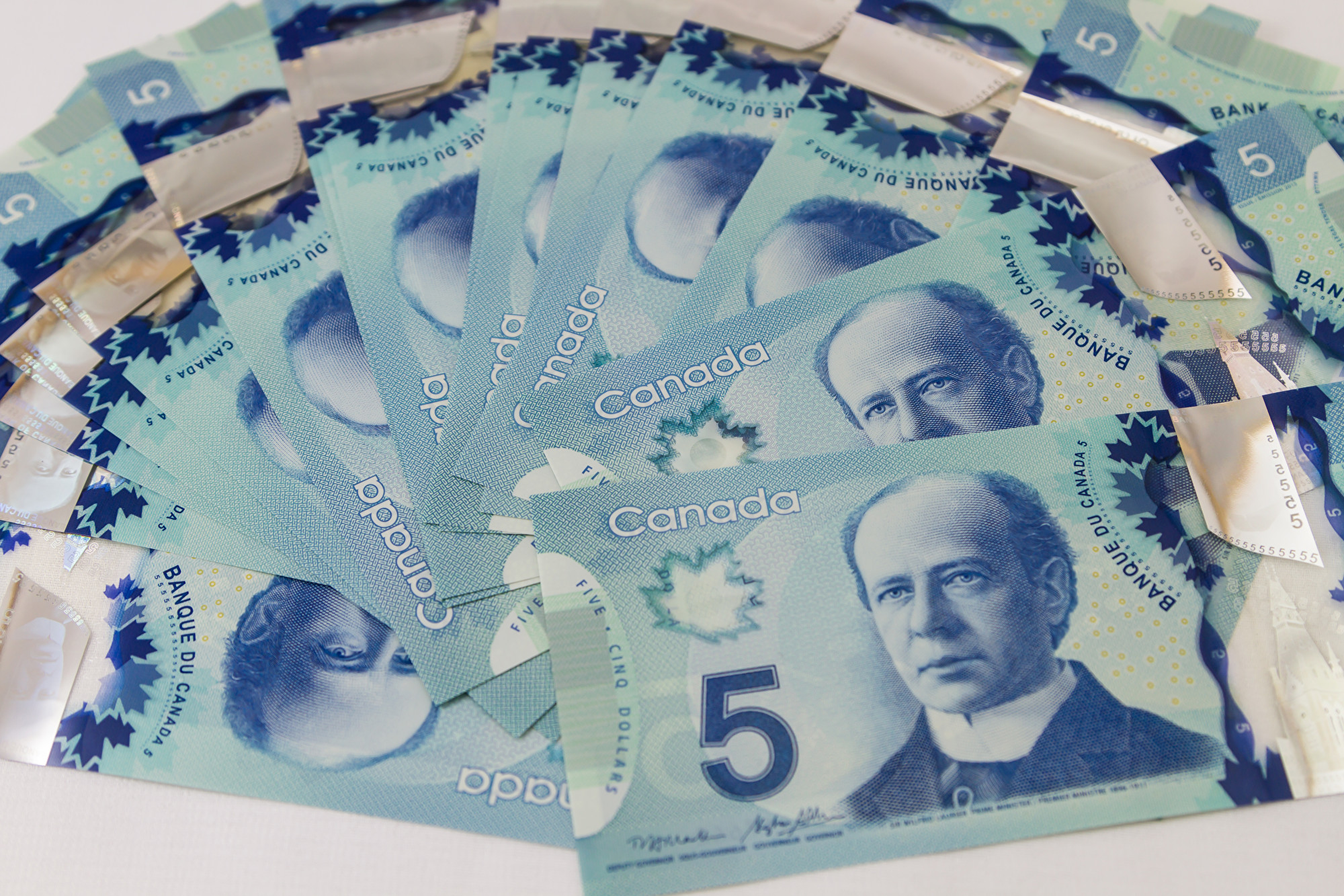 专家：加元疲软表明经济正面临困境| 美国关税| 大纪元