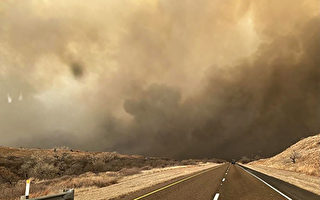 德州史上最大野火 已烧毁一百多万英亩土地