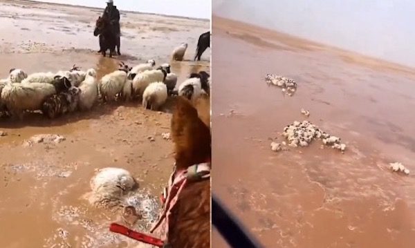 Qinghai Floods and Dam Break: Official Media Under Fire for Denying Casualties